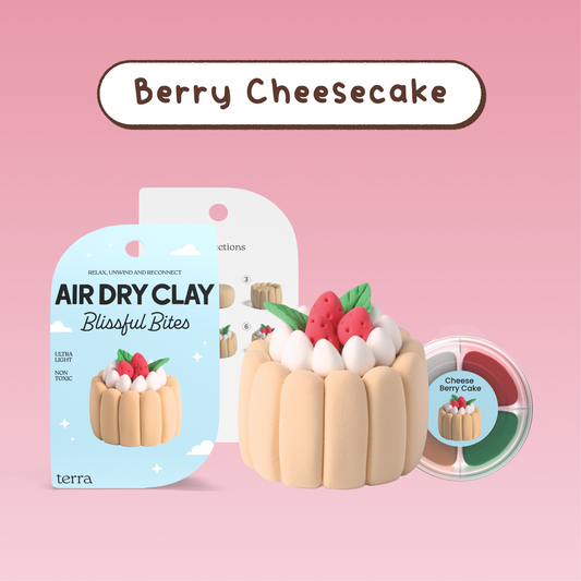 Berry Cheesecake Kawaii Dessert Clay Kit - Blissful Bites - Terra